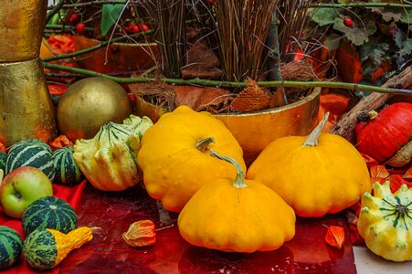 Autumn decoration colorful