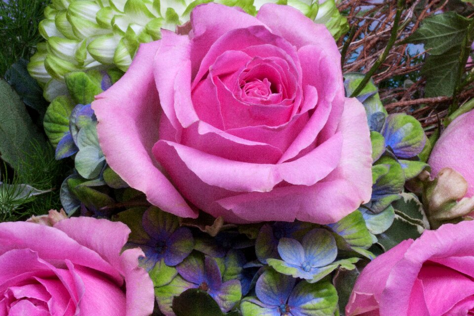 Spring nature plant