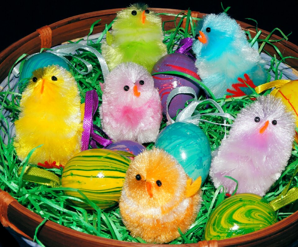 Chicks decoration sweet