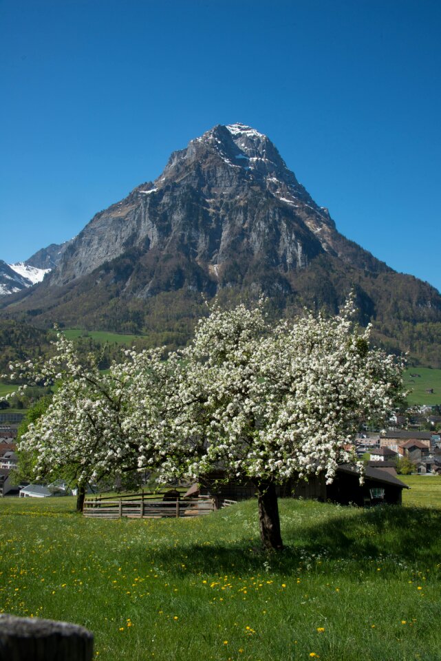 Switzerland front glärnisch canton of glarus