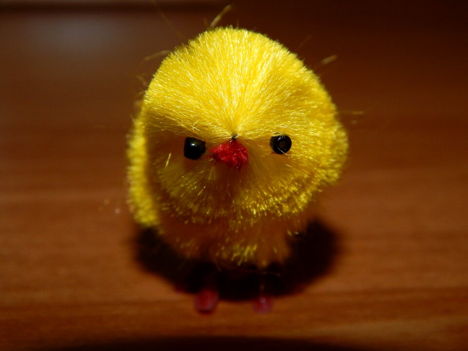 Chicken chick ornament