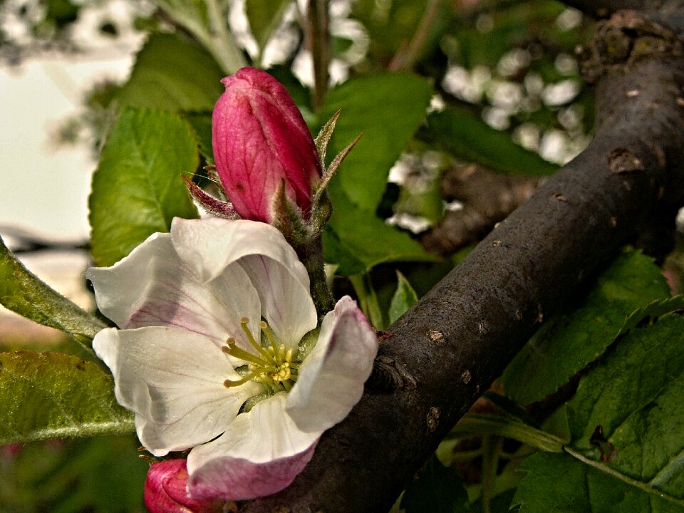 Spring branch macro
