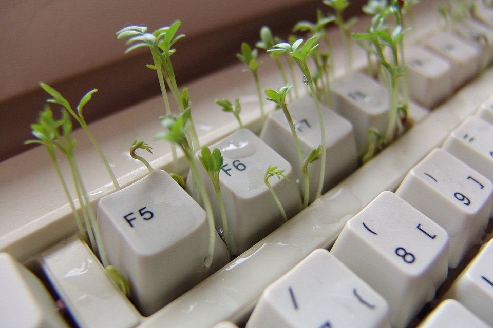 Computer spice plant
