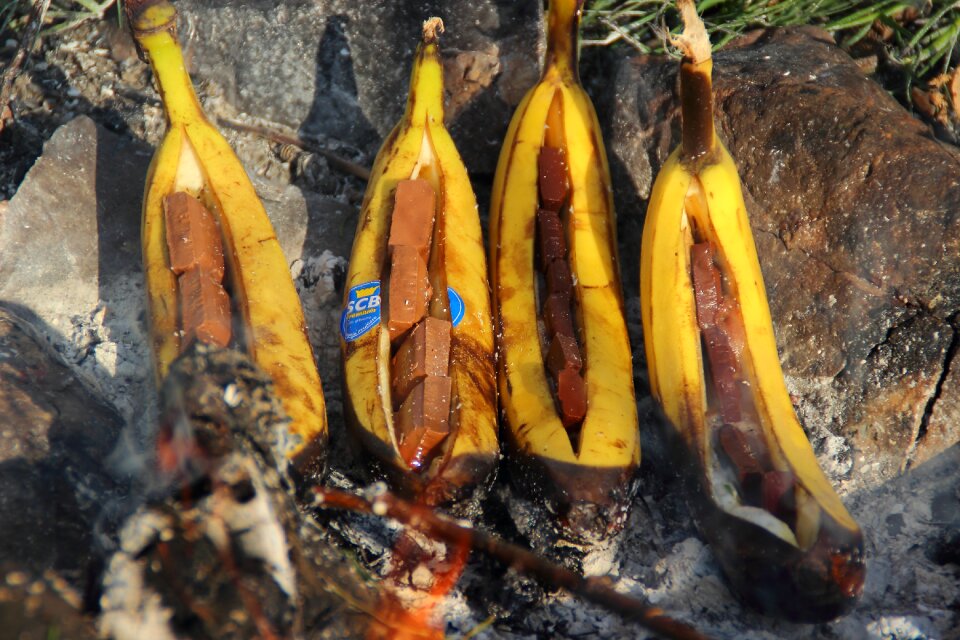 Campfire fire grill