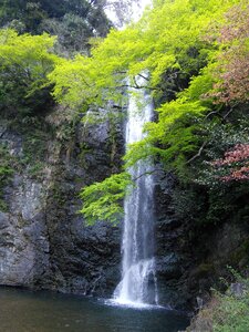 Minoh waterfall fresh green maple