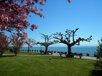 Landscape lake promenade