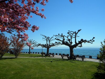 Landscape lake promenade photo