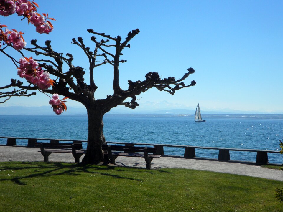 Landscape lake promenade