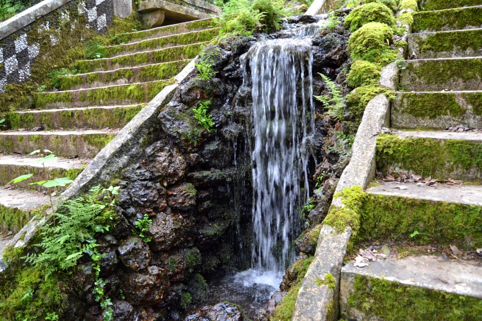 Cascade forest buçaco