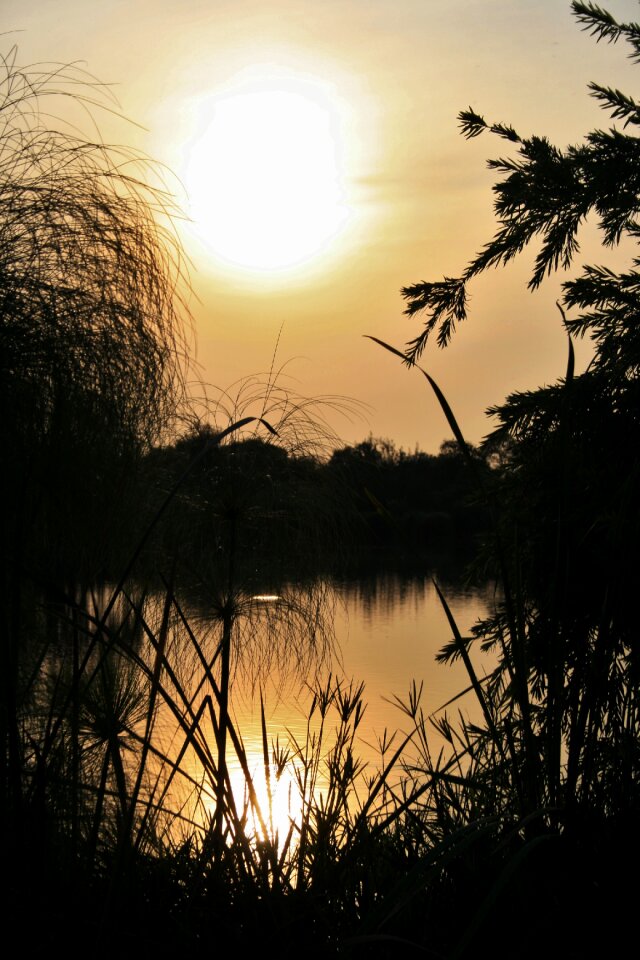Sunset sun reflection