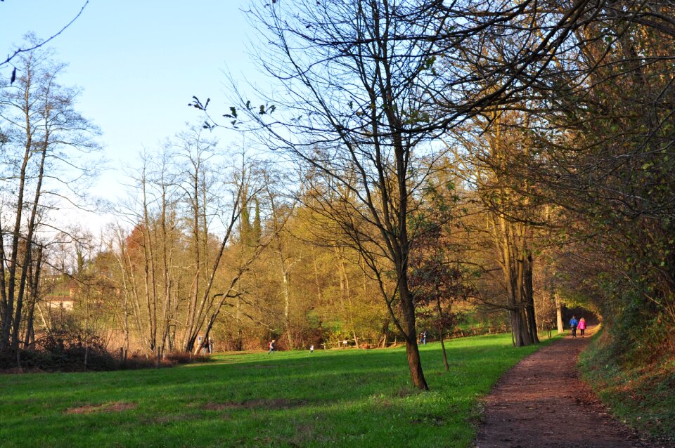 Trees landscape leisure