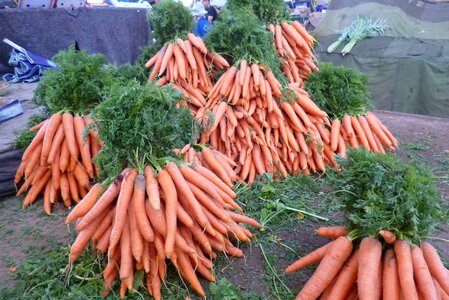 Vegetables carrot food photo