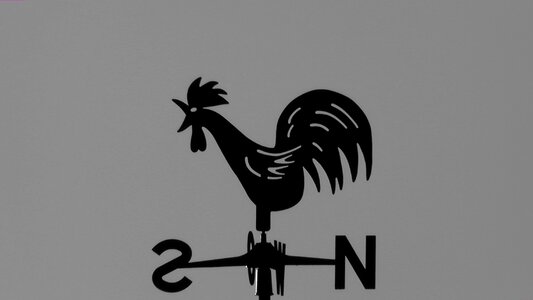 Roof wind direction indicator hahn