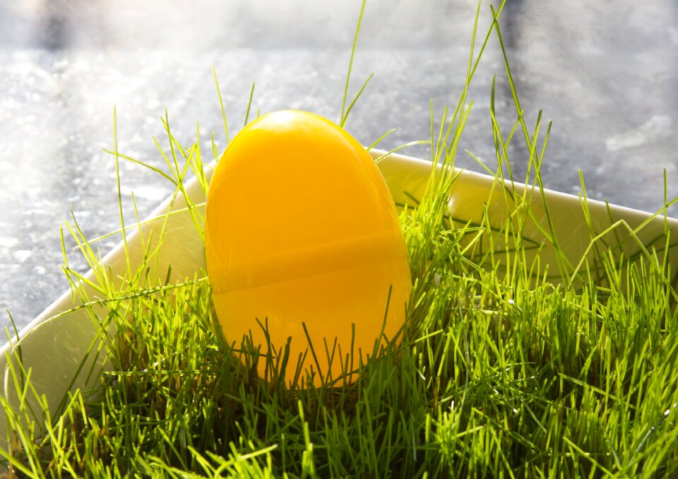 Raeruoho surprise egg egg