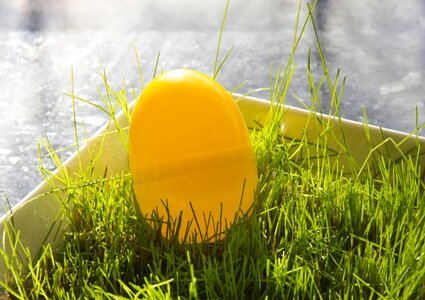 Raeruoho surprise egg egg