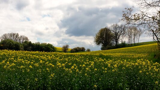 Clouds idyll rest