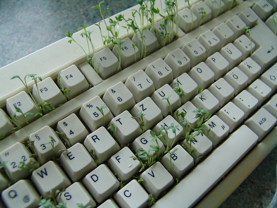 Plant keyboard computer