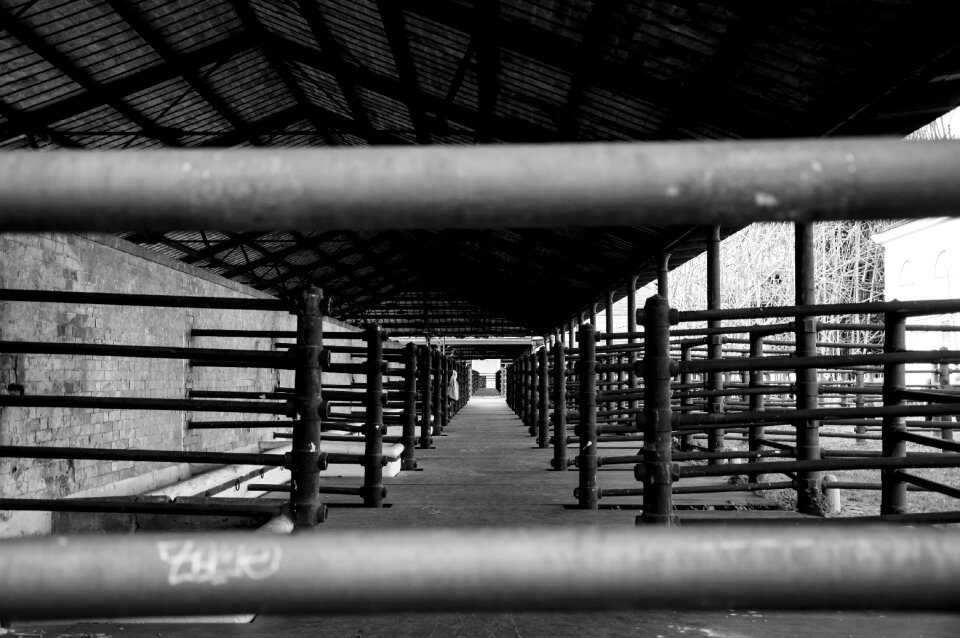 Days gone by bars corridor