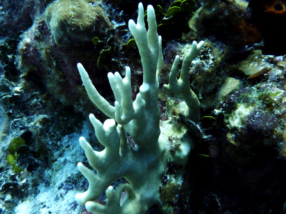 White ocean underwater