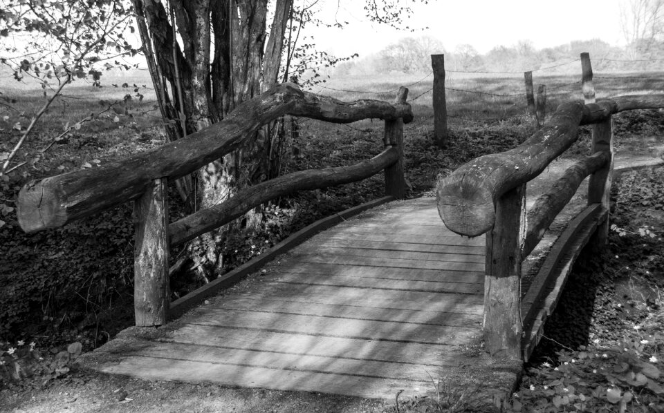 Forest hamburg black and white