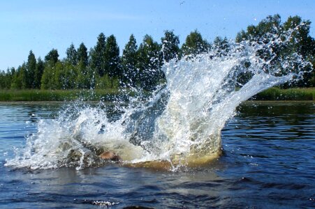 Lake nature spatter