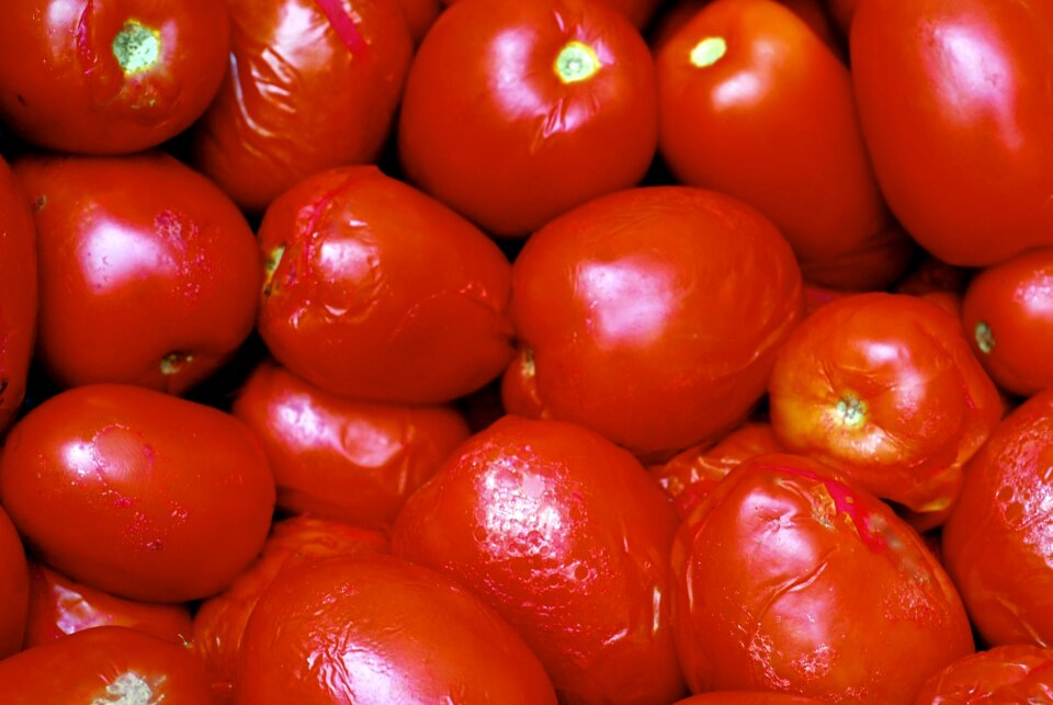 Diet healthy food tomatoes