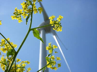 Energy energy supply nature