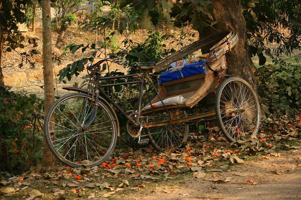 Transport culture taxi