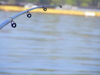 Fishing rods ship danube