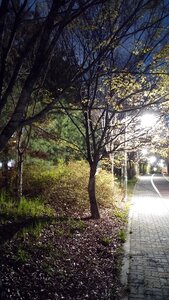Night street walk photo