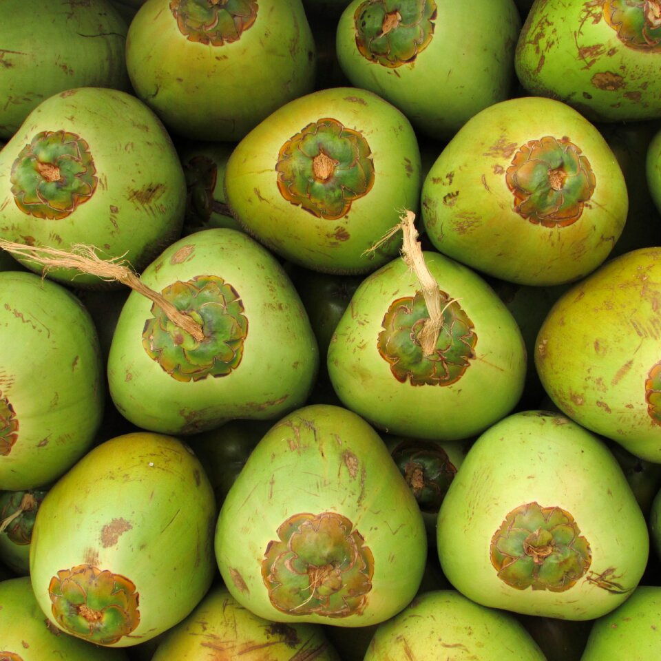 Green seed drupe