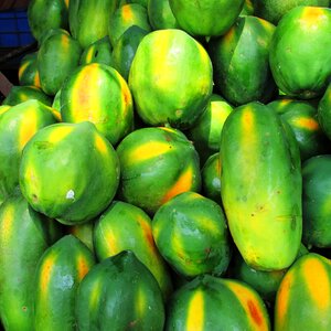 Tropical exotic heap