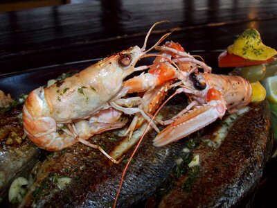 Fish plate sea crabs