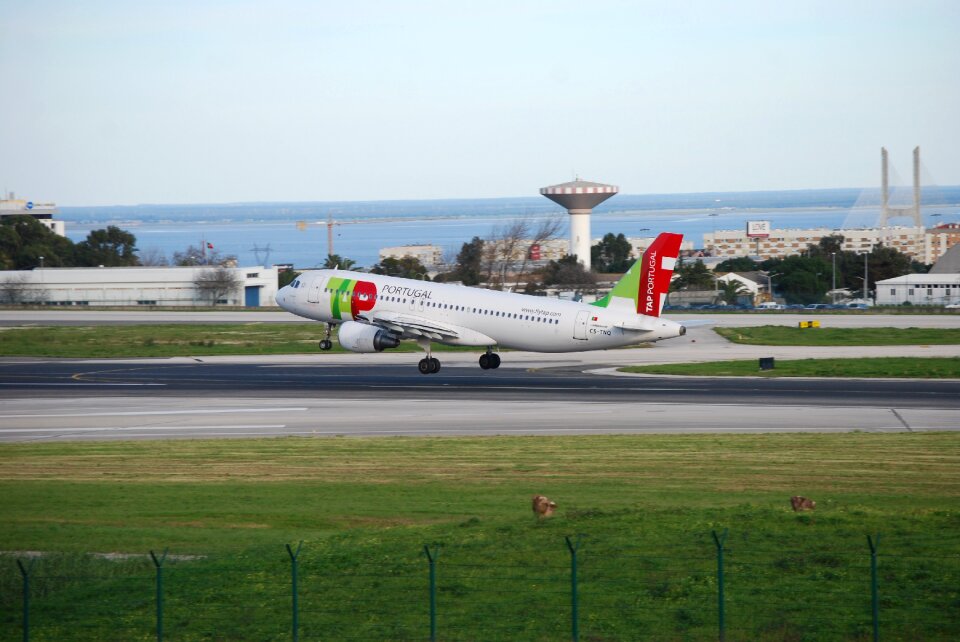 Landing strip landing field plane