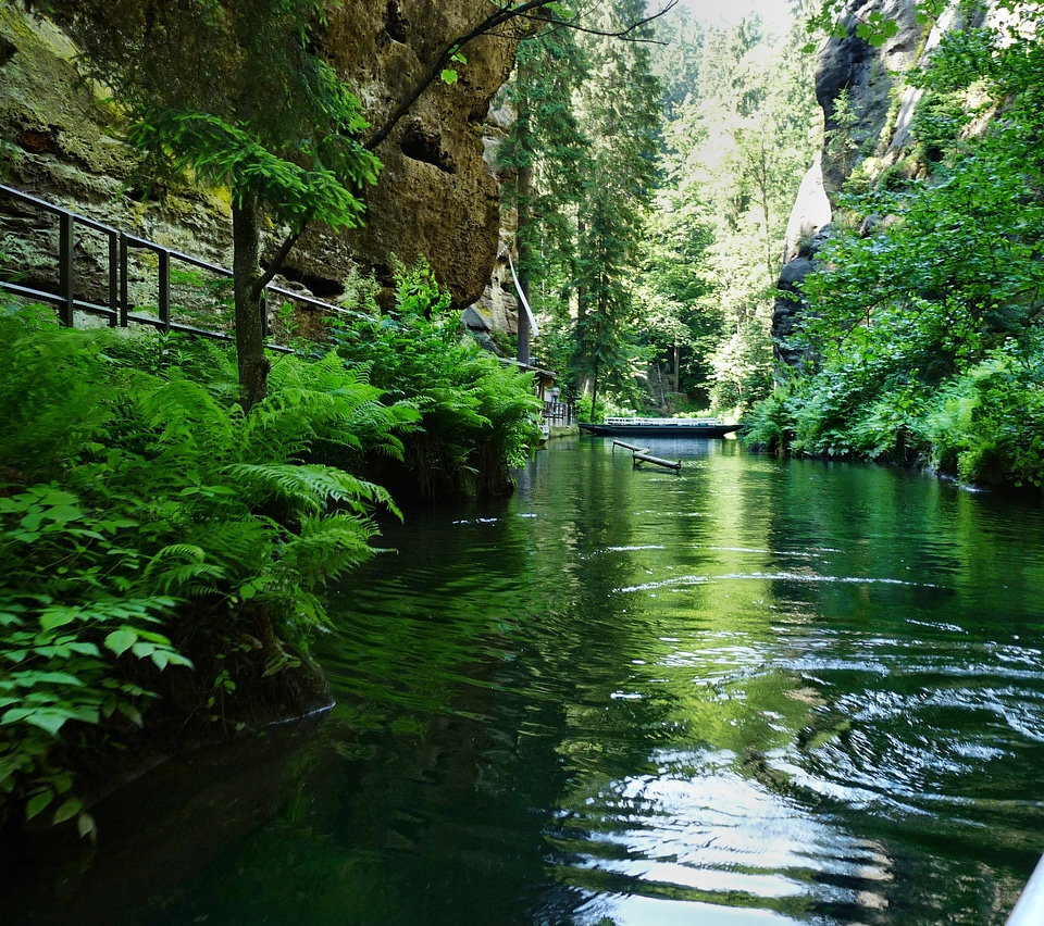 Germany water landscape