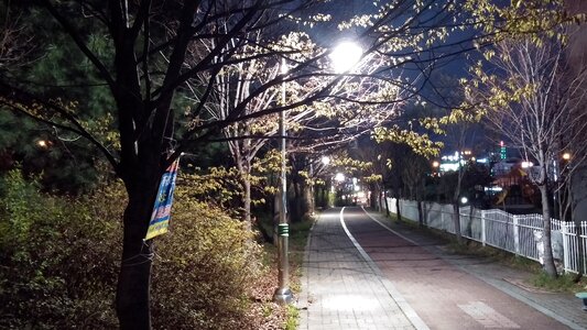 Night street walk