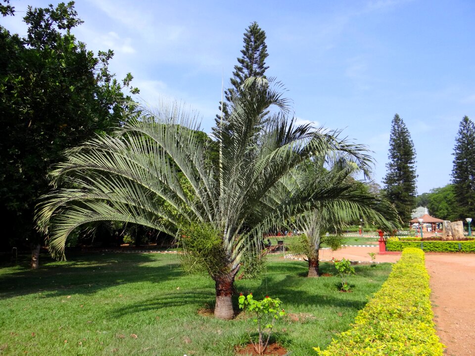 Park lalbagh bangalore