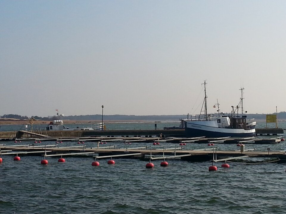 Cove port landscape