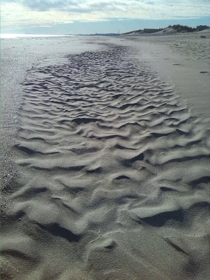 Formation of sand sand dunes forms of wind