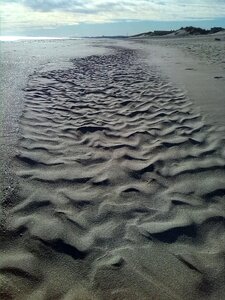 Formation of sand sand dunes forms of wind photo