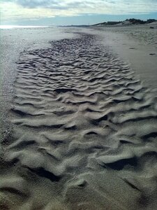 Formation of sand sand dunes forms of wind