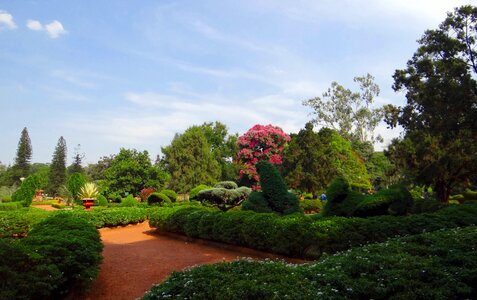 Garden greenery bangalore