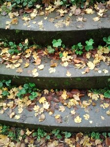 Away leaves background