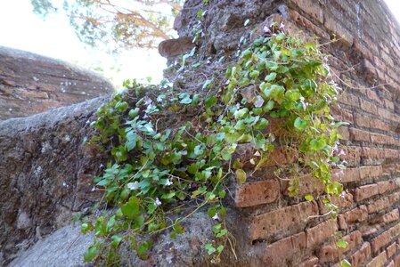 Archaeological site ruins wall photo