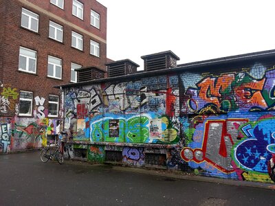 Break up backyard mural