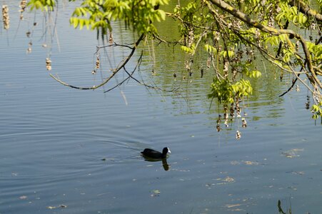 Quiet rest relaxation photo