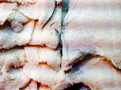 Fish food nutrition