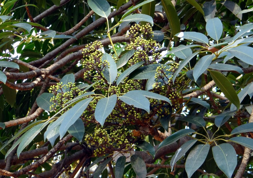 Bansimar bili-bhuthala nondamal