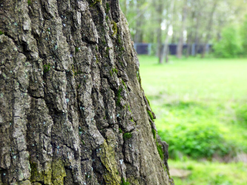 Sharpness the structure of the forest