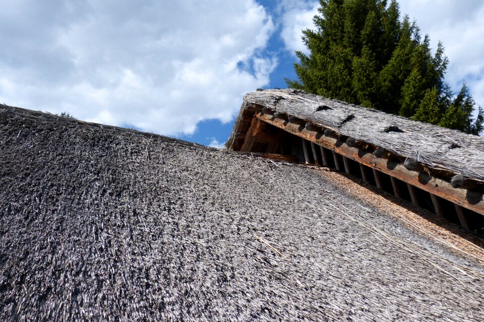 Thatched roofs housetop roof